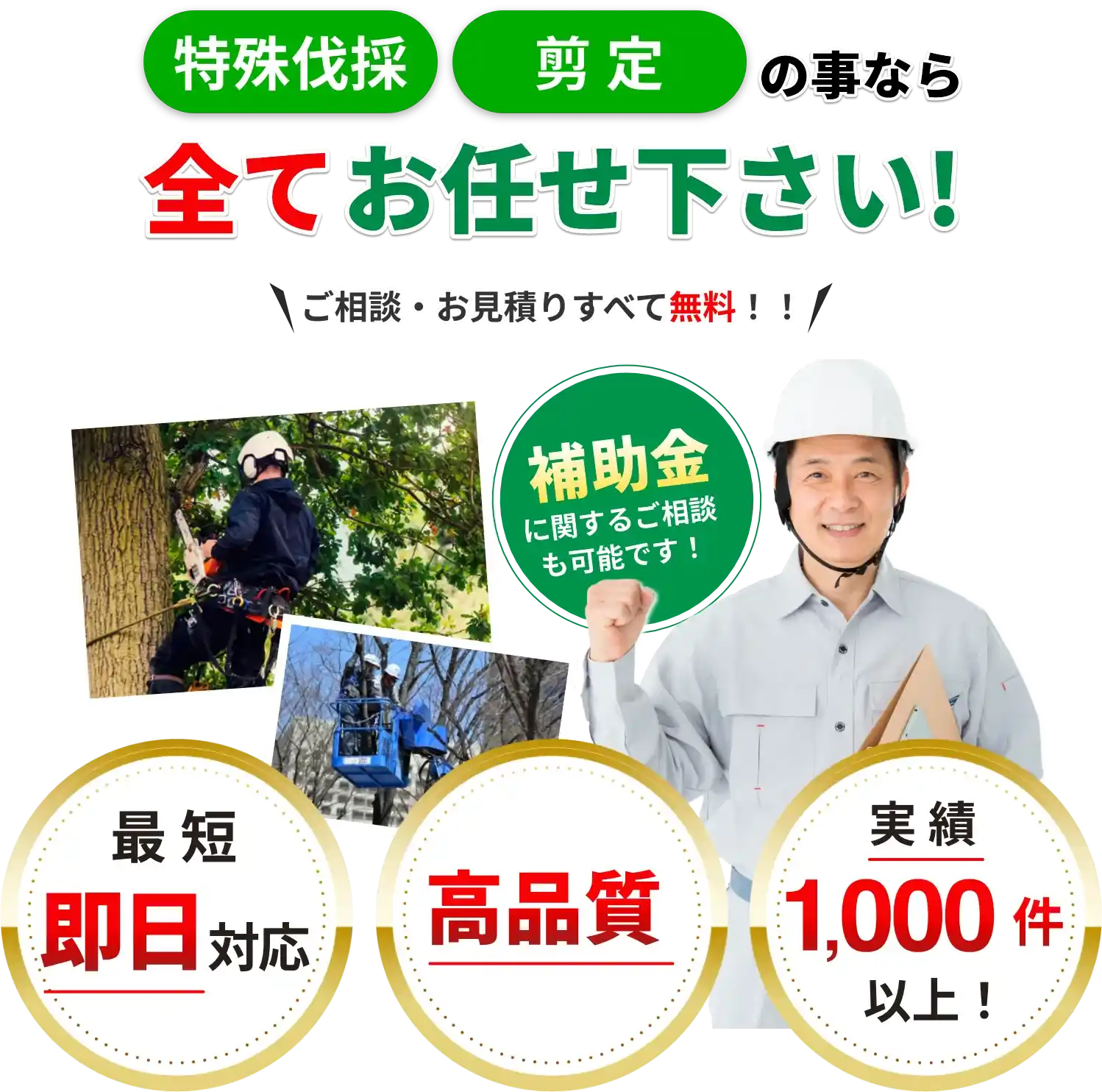 特殊伐採・剪定の事なら全てお任せ下さい！ご相談・お見積りすべて無料！！補助金に関するご相談も可能です！最短即日対応・高品質・実績1,000件以上！